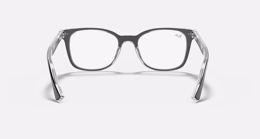 RB5285 OPTICS