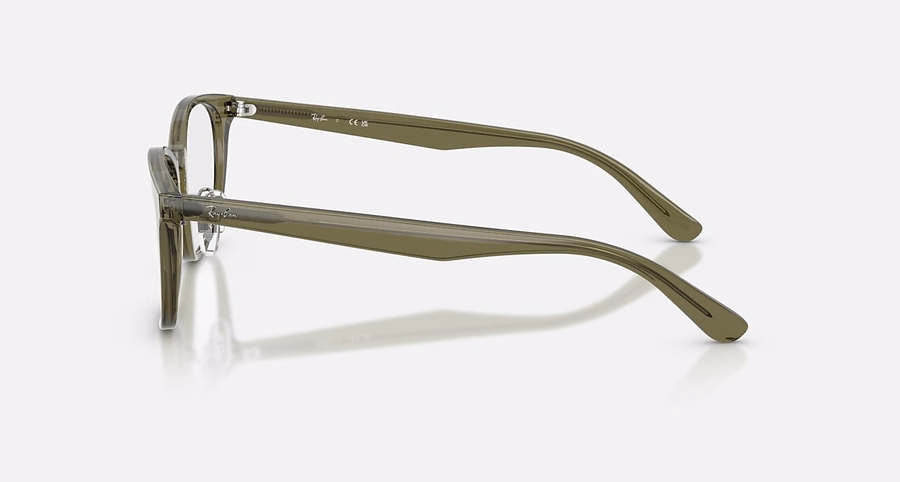 RB5386 OPTICS