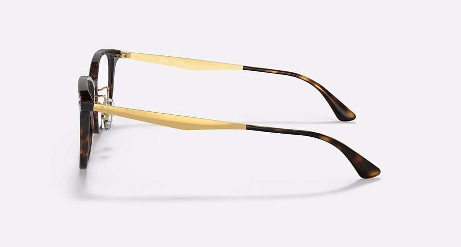 RB5403 OPTICS