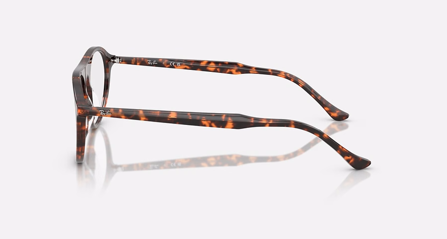RB5441 OPTICS