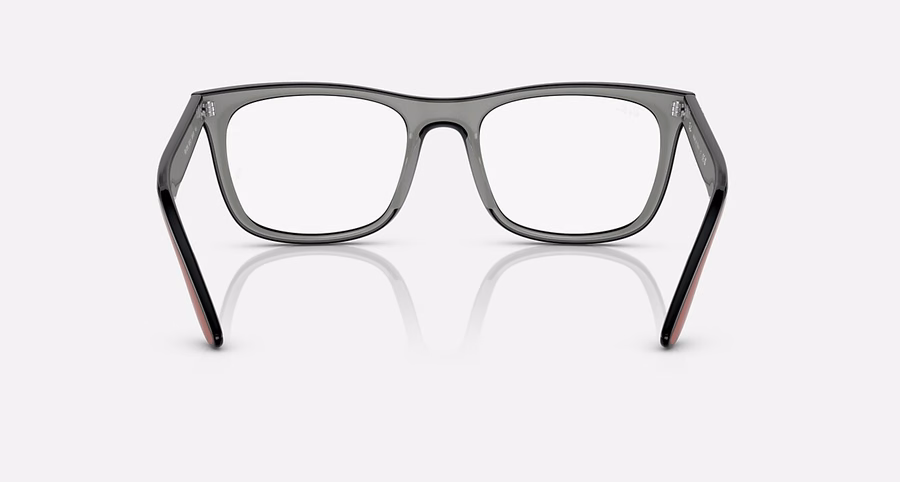 RB7209 OPTICS
