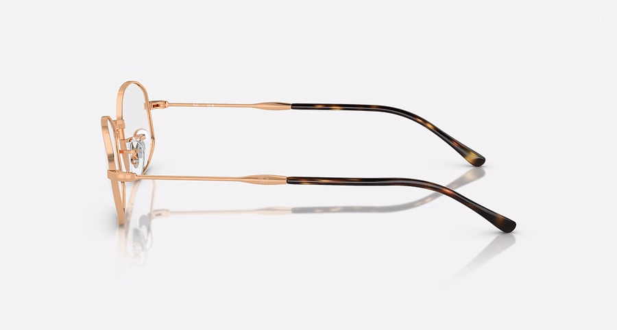 RB6510 OPTICS